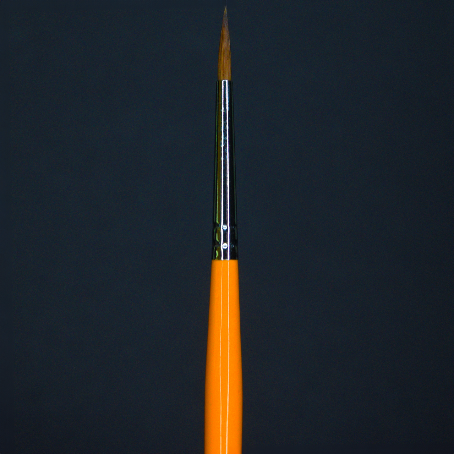 Blue Tip 2