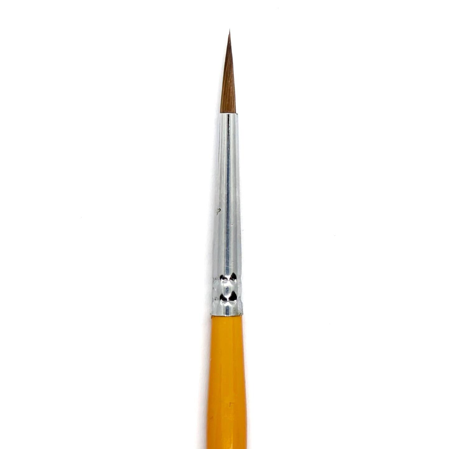 Purple Tip 3
