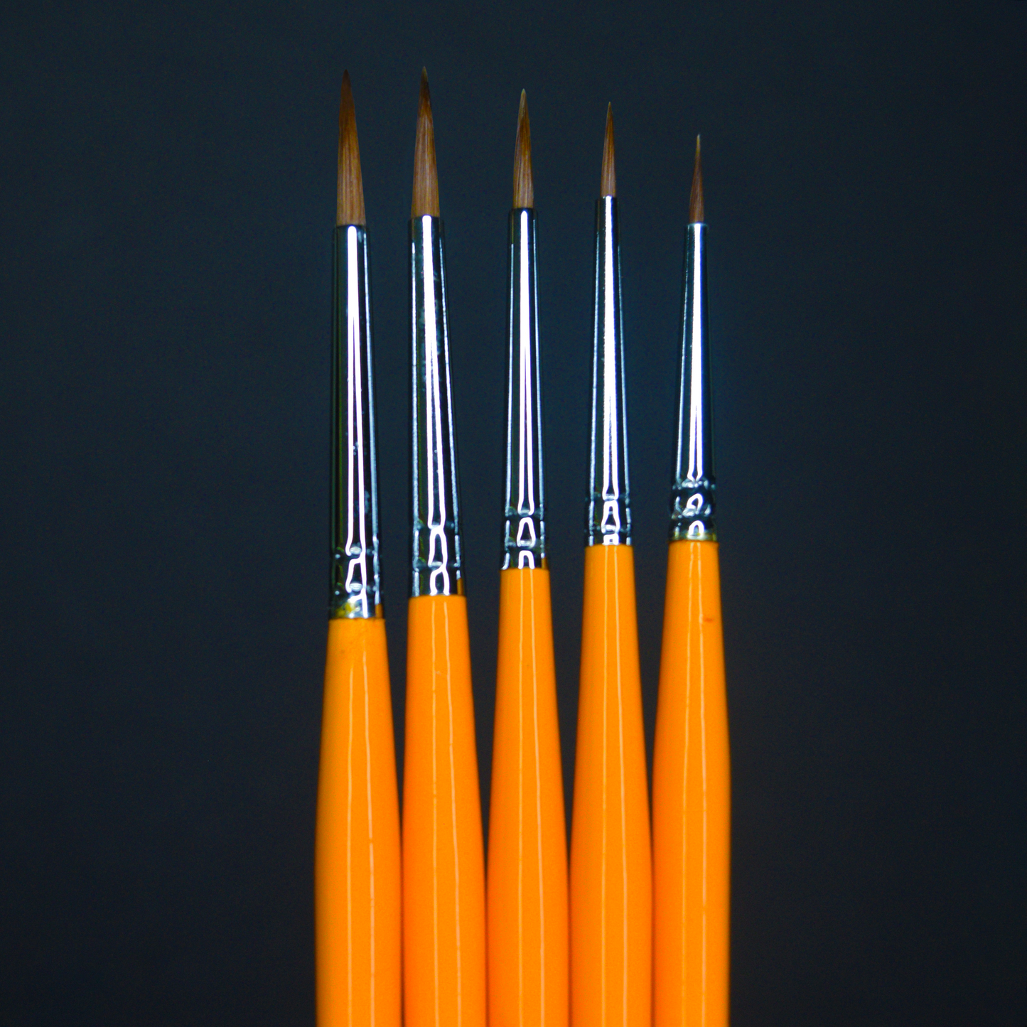 All 5 Brushes